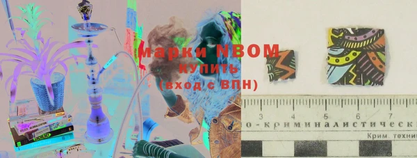 амф Абинск