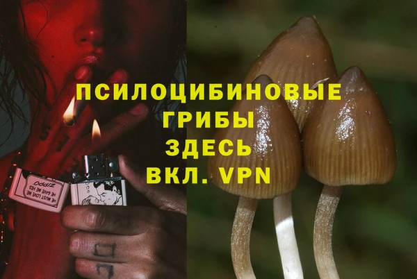 экстази Абаза