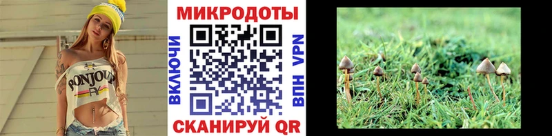 Псилоцибиновые грибы GOLDEN TEACHER  маркетплейс как зайти  Людиново 